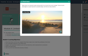 Shark Music and the Core Sensitivities