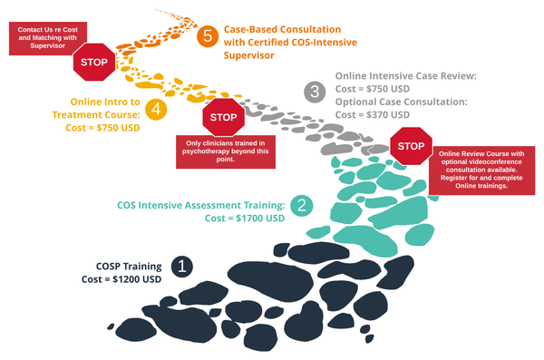 The COS-Intensive Training Pathway