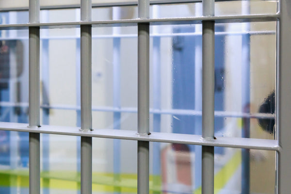 COSP in the Prison Setting: Facilitator Reflections