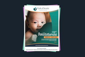 COSP Facilitator Manual Romanian
