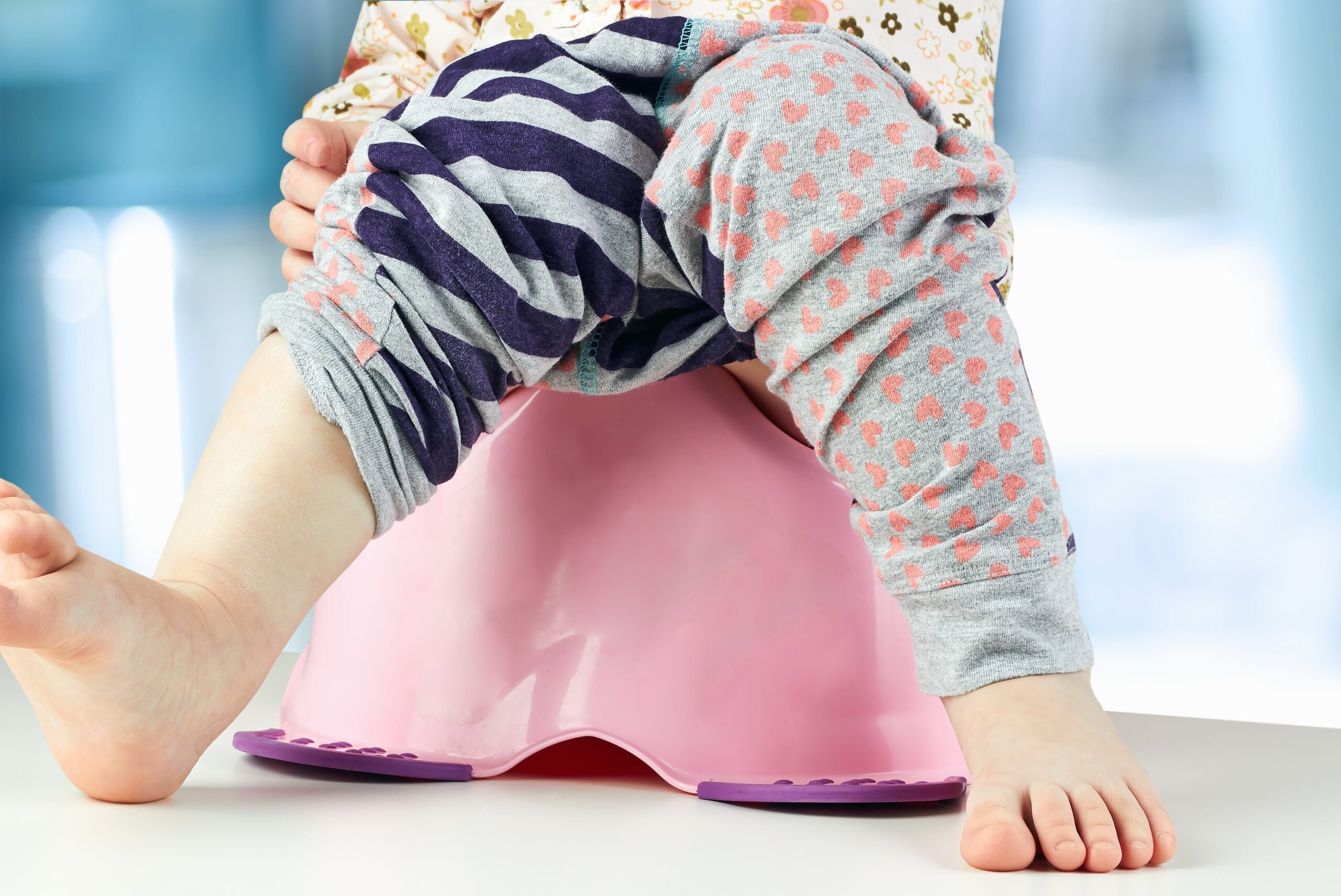 Read more about the article Potty Training on the Circle